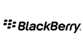 blackberry Repair